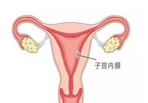 母乳常温下可以放多久，宝妈看过来，一次性讲清楚！